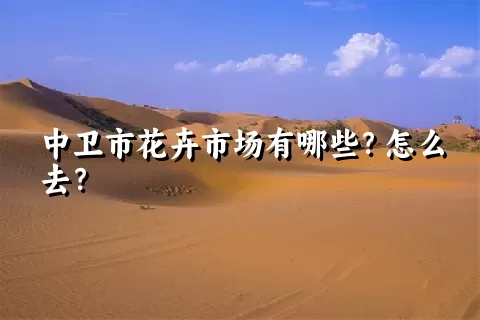 中卫市花卉市场有哪些？怎么去？