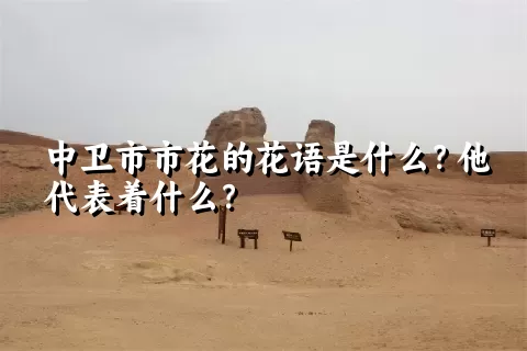 中卫市市花的花语是什么？他代表着什么？