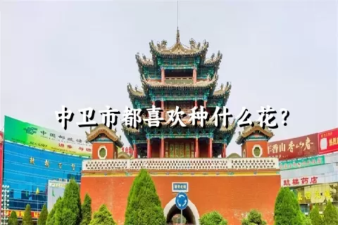 中卫市都喜欢种什么花？