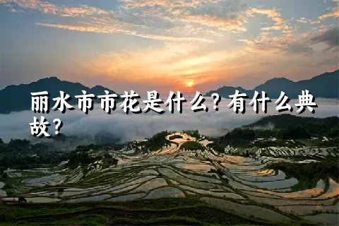 丽水市市花是什么？有什么典故？