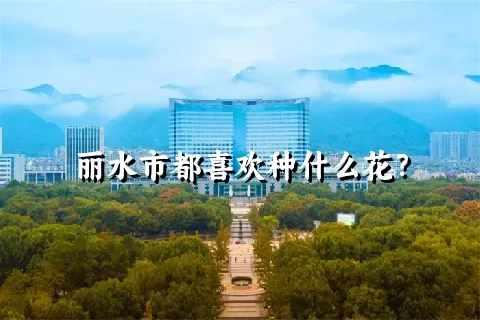 丽水市都喜欢种什么花？