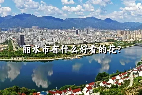 丽水市有什么好看的花？