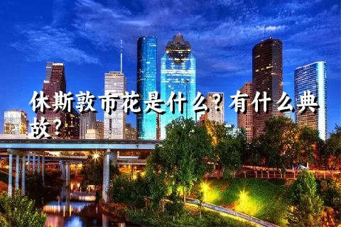 休斯敦市花是什么？有什么典故？