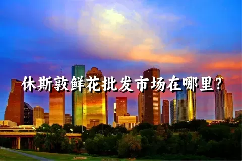 休斯敦鲜花批发市场在哪里？