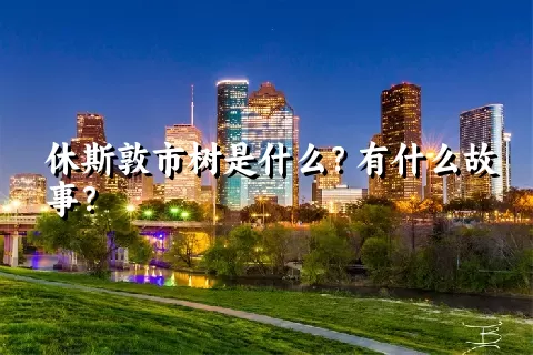 休斯敦市树是什么？有什么故事？