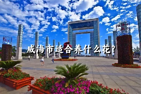 威海市适合养什么花？