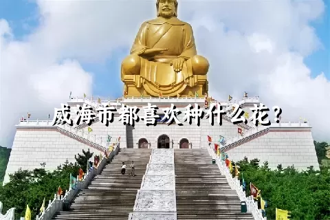 威海市都喜欢种什么花？