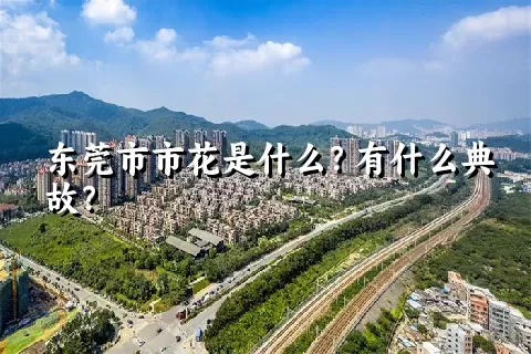 东莞市市花是什么？有什么典故？