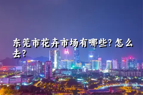 东莞市花卉市场有哪些？怎么去？