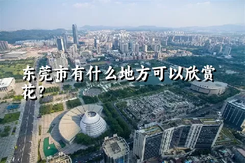 东莞市有什么地方可以欣赏花？