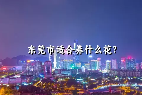 东莞市适合养什么花？