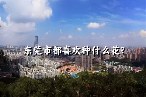 东莞市都喜欢种什么花？