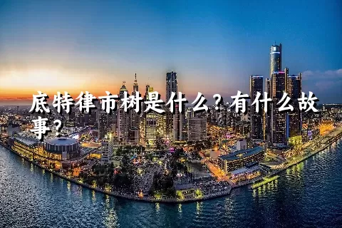 底特律市树是什么？有什么故事？