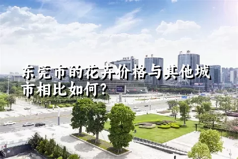 东莞市的花卉价格与其他城市相比如何？