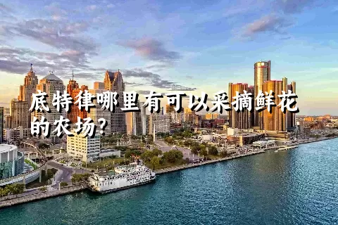 底特律哪里有可以采摘鲜花的农场？