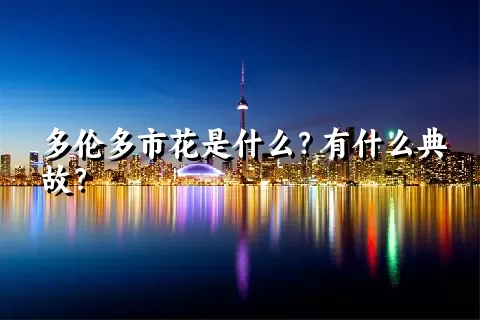 多伦多市花是什么？有什么典故？