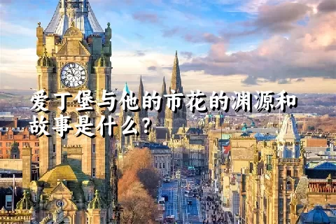 爱丁堡与他的市花的渊源和故事是什么？