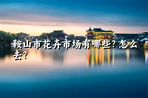 鞍山市花卉市场有哪些？怎么去？