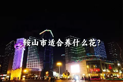 鞍山市适合养什么花？