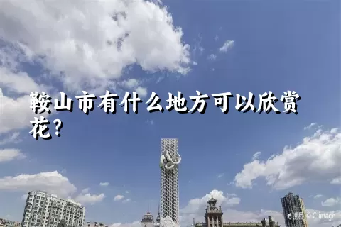 鞍山市有什么地方可以欣赏花？