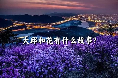 大邱和花有什么故事？