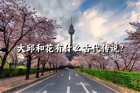 大邱和花有什么古代传说？