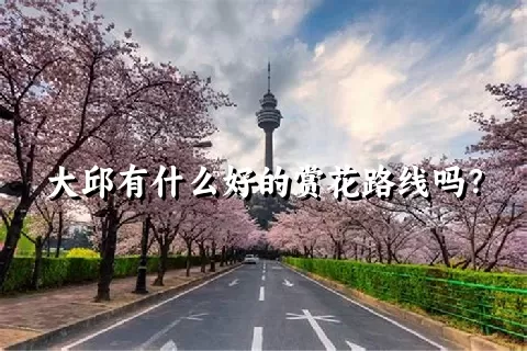 大邱有什么好的赏花路线吗？