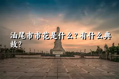 汕尾市市花是什么？有什么典故？