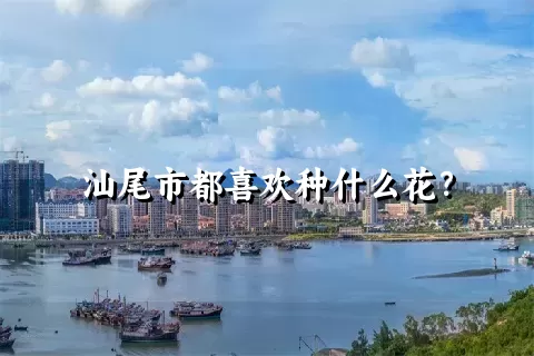 汕尾市都喜欢种什么花？