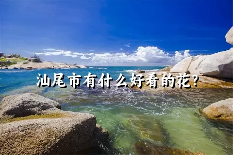 汕尾市有什么好看的花？