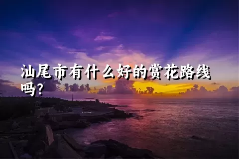 汕尾市有什么好的赏花路线吗？