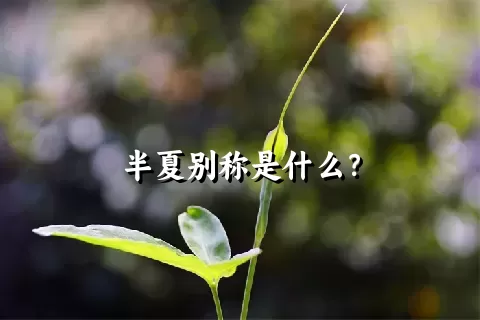 半夏别称是什么？