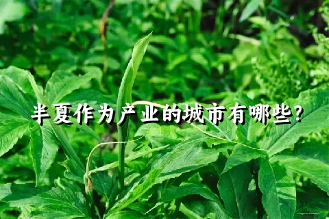 半夏作为产业的城市有哪些？