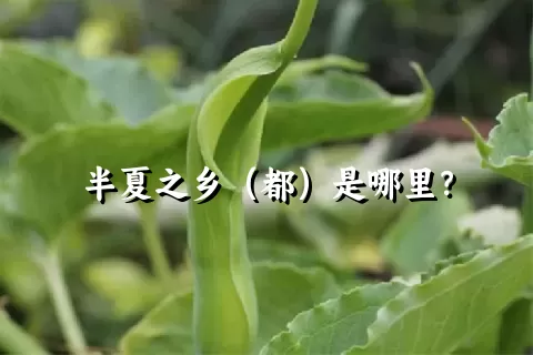 半夏之乡（都）是哪里？