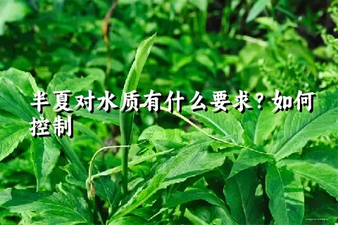 半夏对水质有什么要求？如何控制