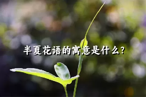 半夏花语的寓意是什么？