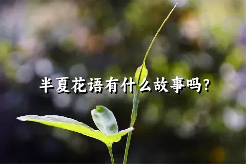 半夏花语有什么故事吗？