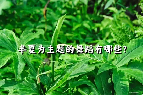 半夏为主题的舞蹈有哪些？