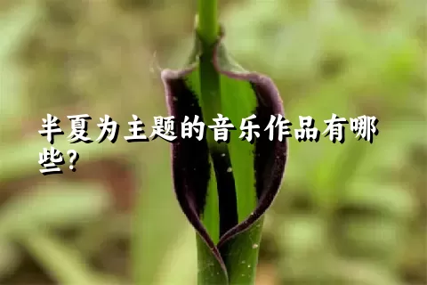 半夏为主题的音乐作品有哪些？