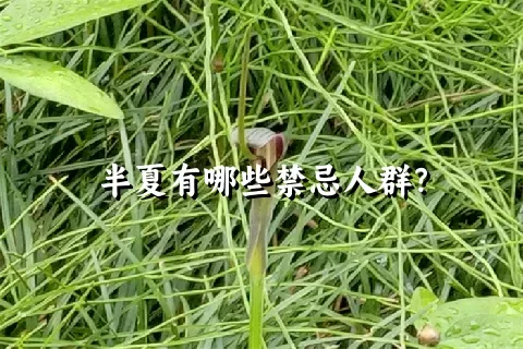 半夏有哪些禁忌人群？