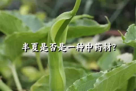 半夏是否是一种中药材？