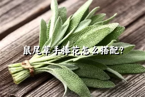 鼠尾草手捧花怎么搭配？