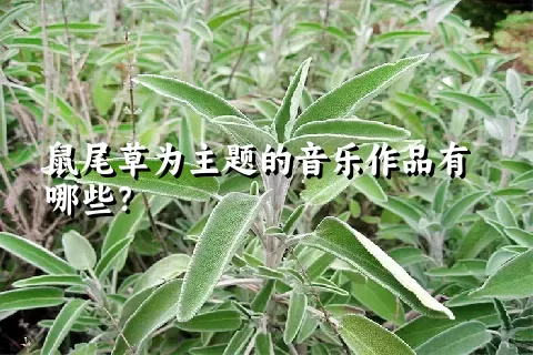 鼠尾草为主题的音乐作品有哪些？