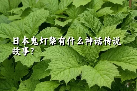 日本鬼灯檠有什么神话传说故事？