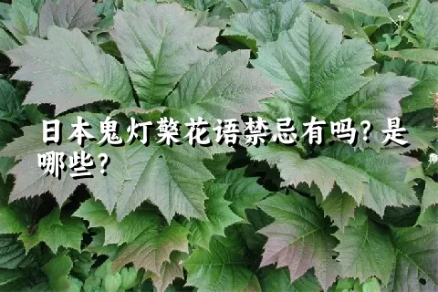 日本鬼灯檠花语禁忌有吗？是哪些？