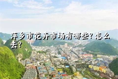 萍乡市花卉市场有哪些？怎么去？