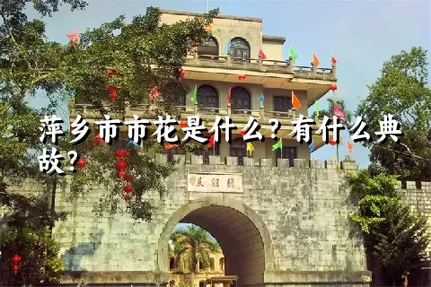 萍乡市市花是什么？有什么典故？