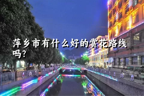 萍乡市有什么好的赏花路线吗？