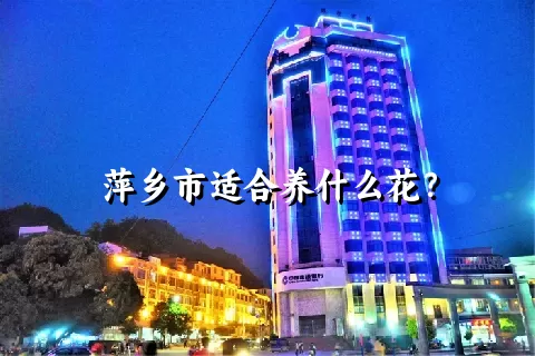 萍乡市适合养什么花？