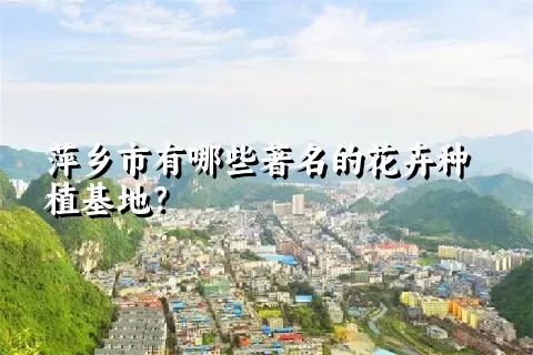 萍乡市有哪些著名的花卉种植基地？